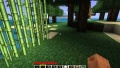 LP-Minecraft-thumb-102.jpg